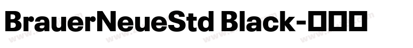 BrauerNeueStd Black字体转换